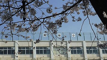 大田区立開桜小学校 徒歩11分。 860m