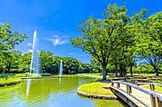 東京都立代々木公園 徒歩15分。 1130m