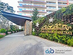 エントランス周りは植栽を配し、綺麗に管理されております。