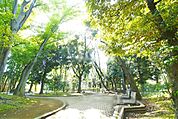 駒沢緑泉公園 徒歩17分。 1360m