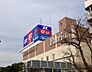 周辺：ホームセンターコーナン品川八潮店 徒歩15分。 1200m