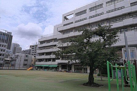 千代田区立和泉小学校 徒歩11分。 870m