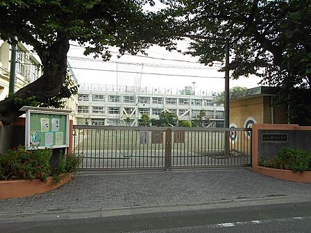 世田谷区立等々力小学校 徒歩6分。 480m