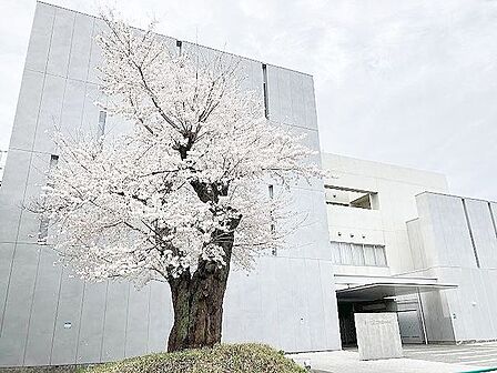 杉並区立井草中学校 徒歩6分。 480m
