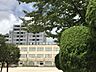 周辺：品川区立城南第二小学校 徒歩19分。 1470m