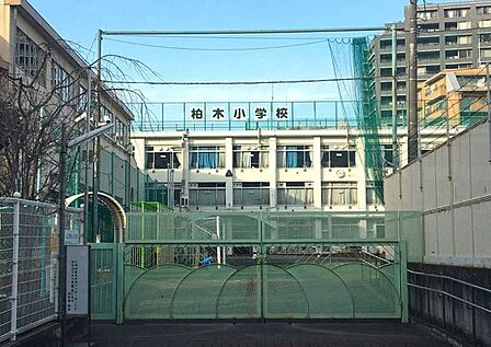新宿区立柏木小学校 徒歩11分。 830m