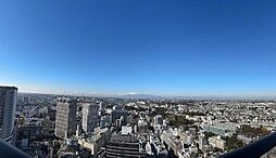 THE YOKOHAMA FRONT TOWER 3311号室