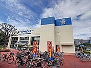 ホームセンター「綿半スーパーセンター権堂店まで1138m」