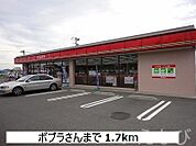 ポプラ 1700m