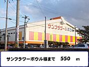 サンフラワーボウル 550m