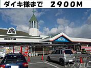 ダイキ 2900m