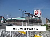 コメリ 600m