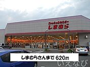 しまむら 620m