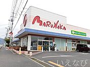 マルナカ 650m