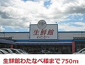 生鮮館わたなべ 750m
