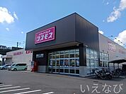 コスモス 700m