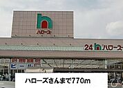ハローズ 770m