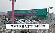 コスモス 1400m