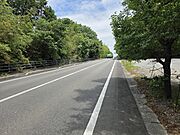 前面道路