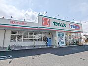ドラッグセイムス高崎片岡町店 627m