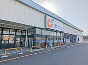 カワチ薬品高崎駅東店 1027m