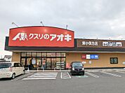 クスリのアオキ東小保方店 1084m