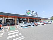 FRESSAY(フレッセイ)倉賀野西店 387m
