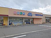 マルエドラッグ高崎菅谷店 1233m