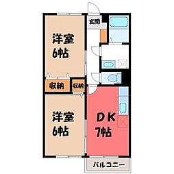 ステラコート 2階/-