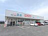 周辺：スギドラッグ高崎日高店 740m