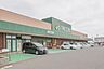 周辺：フレッセイ 富塚店 732m