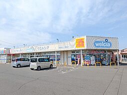 アップ フィールド