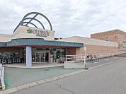 フレッセイ大胡店 955m
