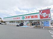 スギドラッグ高崎並榎店 764m