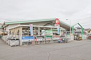 コメリハード＆グリーン伊勢崎店 4395m