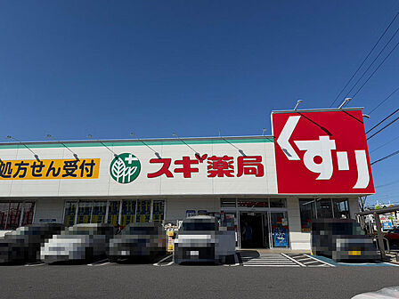 スギ薬局羽根北店　徒歩13分（979ｍ）