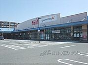 グルメシティ　水無瀬店 1500m