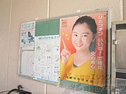 掲示板