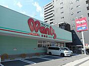 ドラックストア「ウォンツ白島店まで438ｍ」