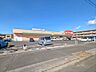 周辺：ドラッグストア 350m クスリのアオキ丸林店