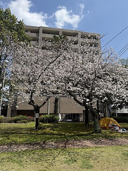 周辺を拡大表示