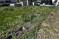 長野県上田市大屋：物件画像