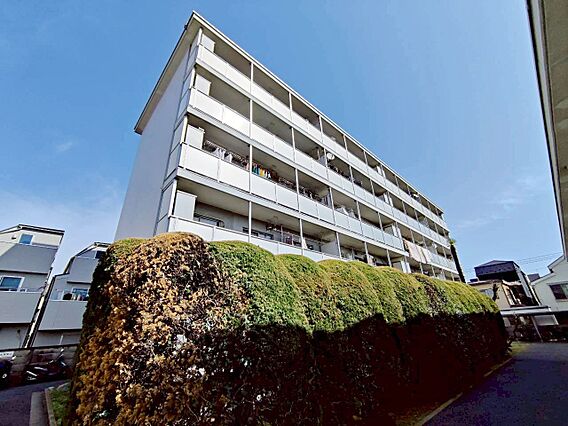 飽きのこないシ...