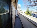 朝の澄んだ空気...