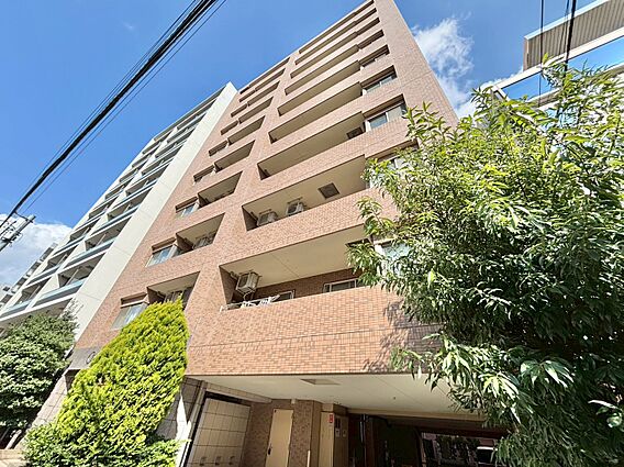 飽きのこないシ...