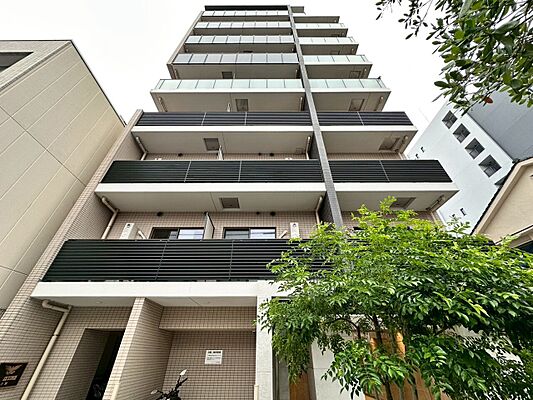 外観 パレステージ中野 5階/-