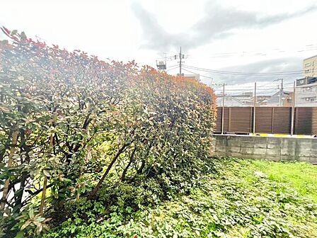 眺望や窓からの景色が良いと、家で過ごす時間も快適です。