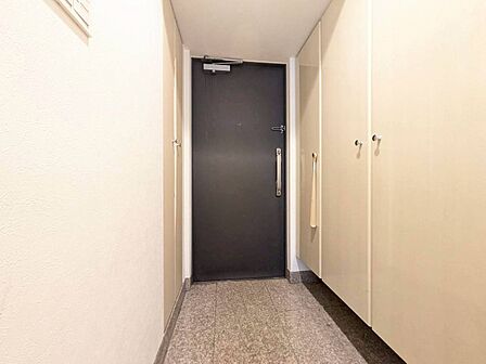 清潔感のある落ち着いた雰囲気の玄関です。