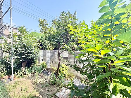 陽当たり・通風・開放感に恵まれた環境です。
