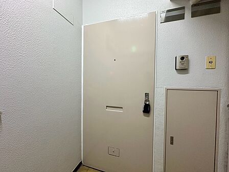 清潔感のある落ち着いた雰囲気の玄関です。